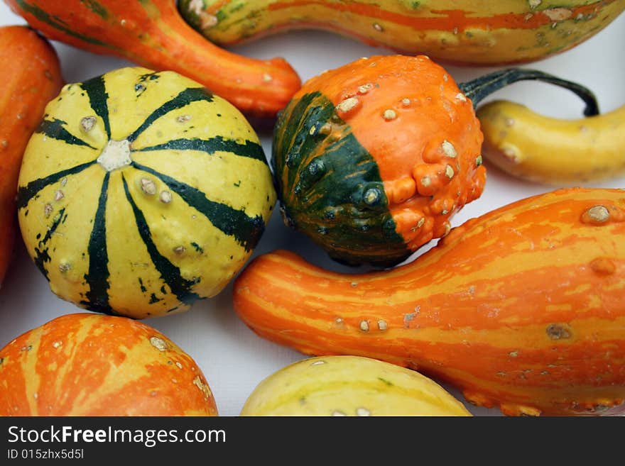 A Colorful Array of Fall Squash in Bold Oranges, Yellows, and Greens. A Colorful Array of Fall Squash in Bold Oranges, Yellows, and Greens.