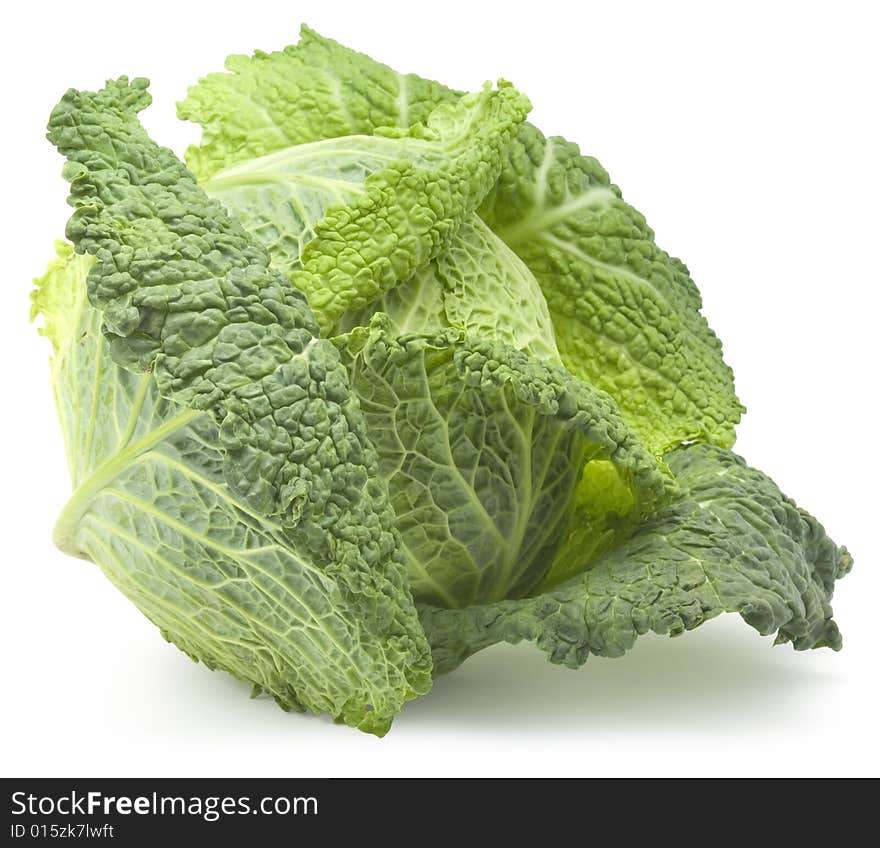 Cabbage