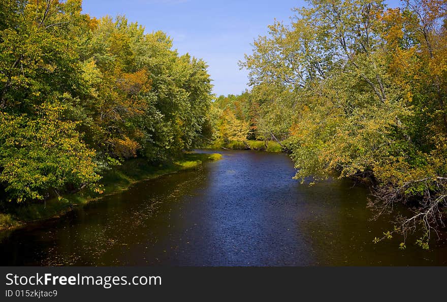 Trail of Leaves on the Whiteface River