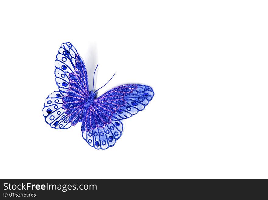 Blue butterfly isolated in white background