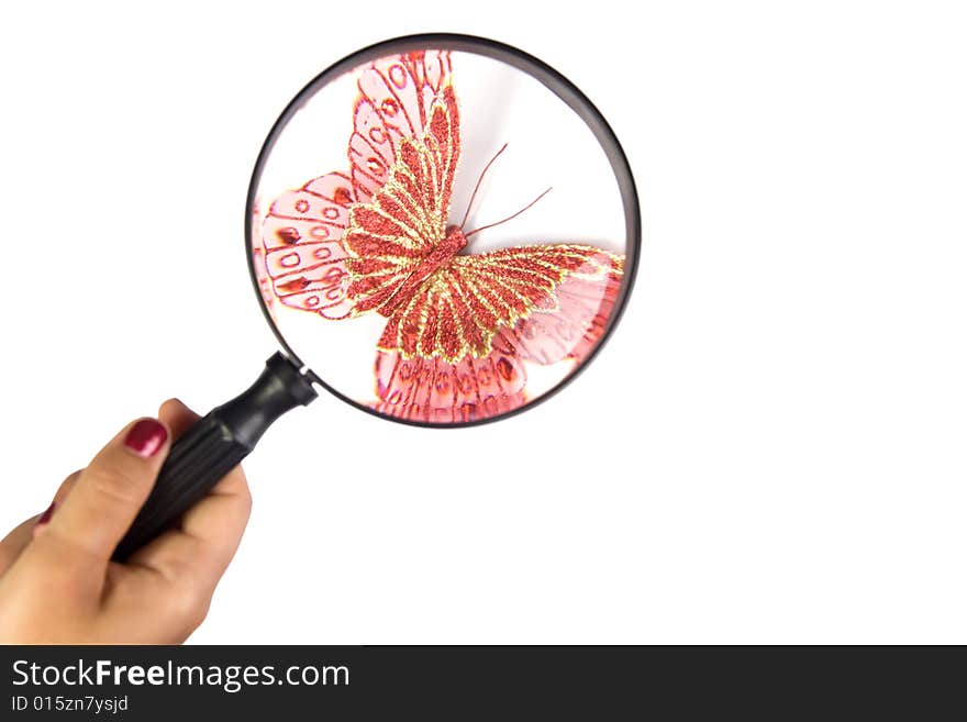 Red Butterfly With Magnifier