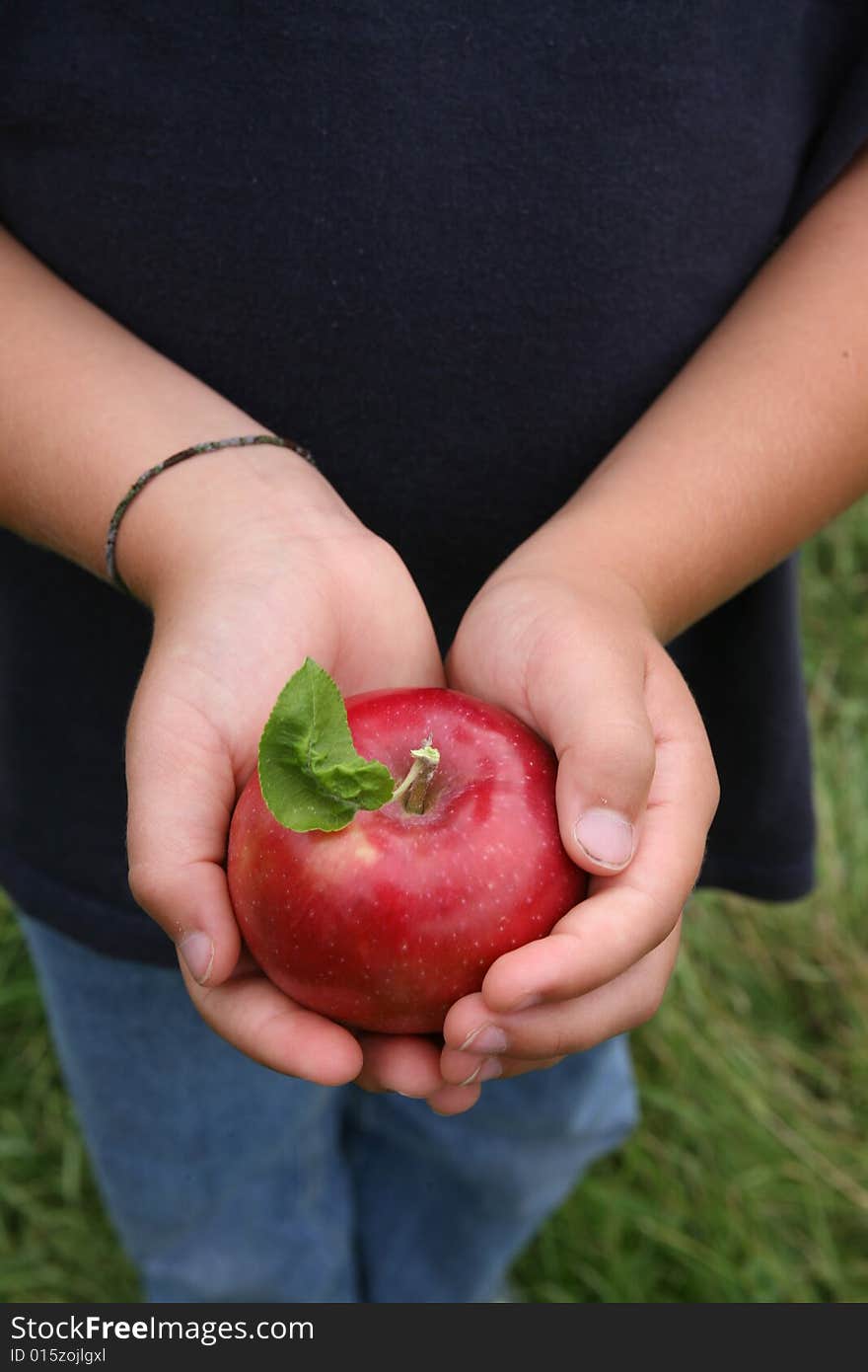 Young Child Holding A Red Apple