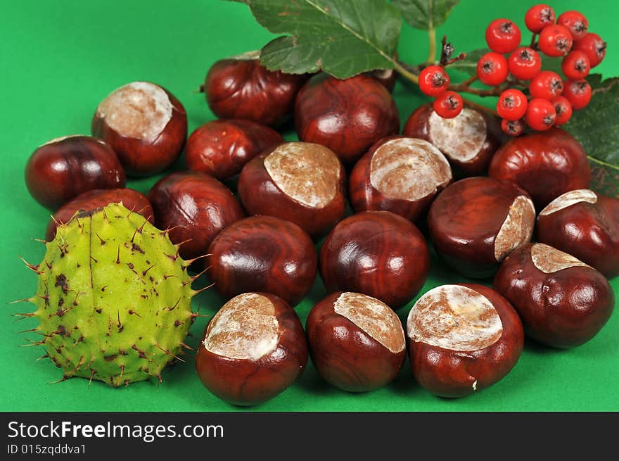 Autumn leaves and chestnuts - isolated. Autumn leaves and chestnuts - isolated