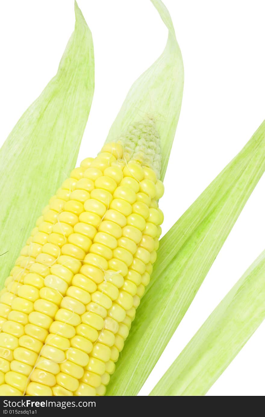 Closeup of the nice fresh yellow sweet corn with green leaves