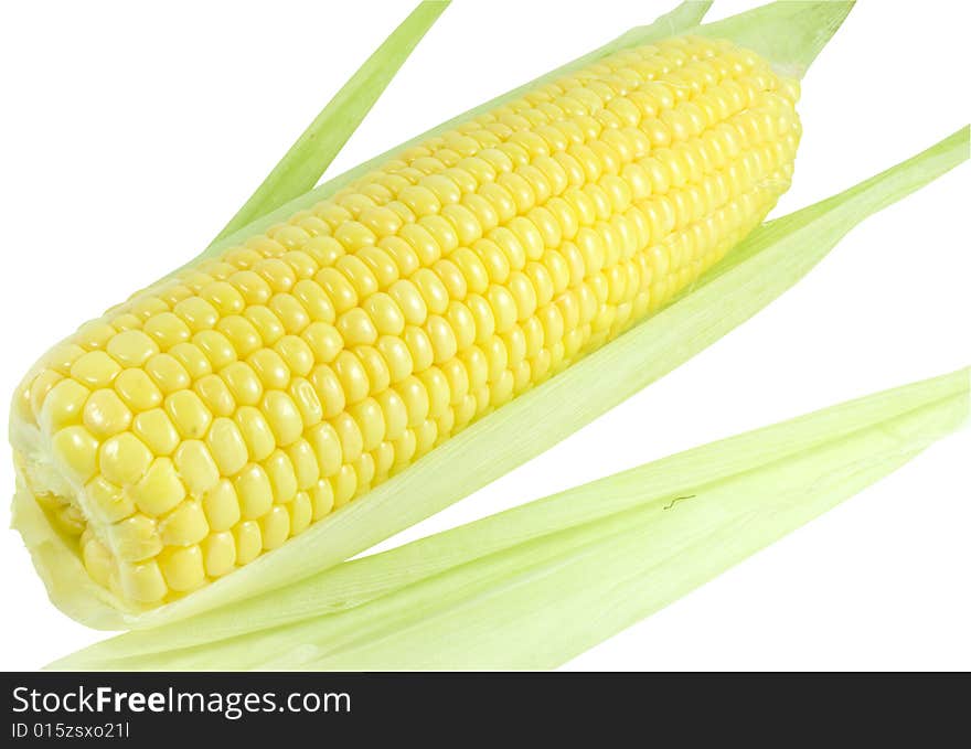 Nice fresh yellow sweet corn with green leaves isolated over cwhite with clipping path