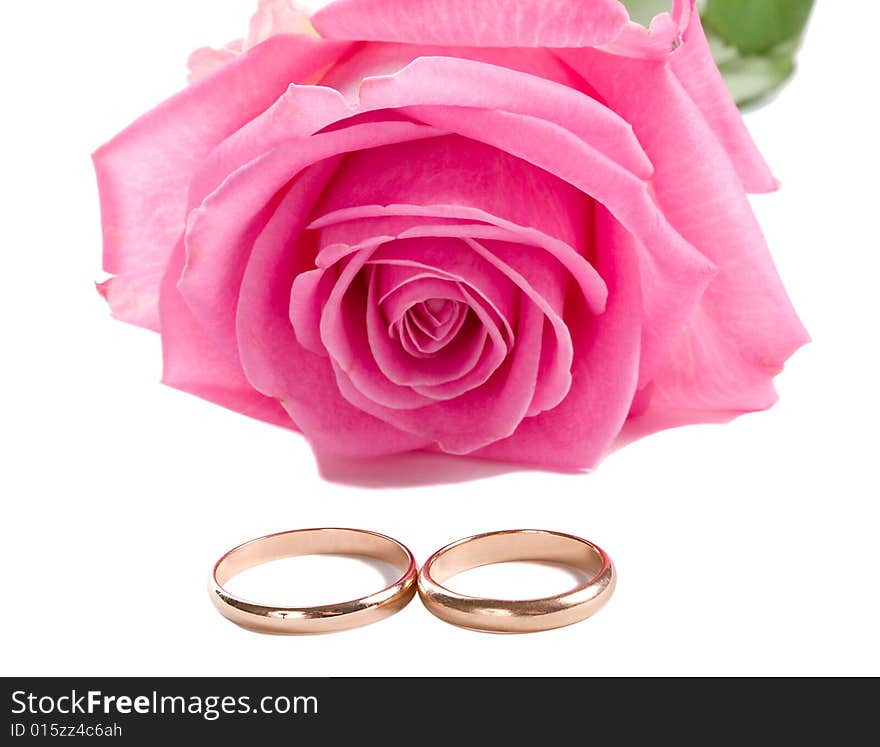 Close-up pink rose and two wedding rings, isolated on white