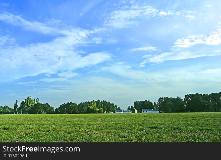 Farm field