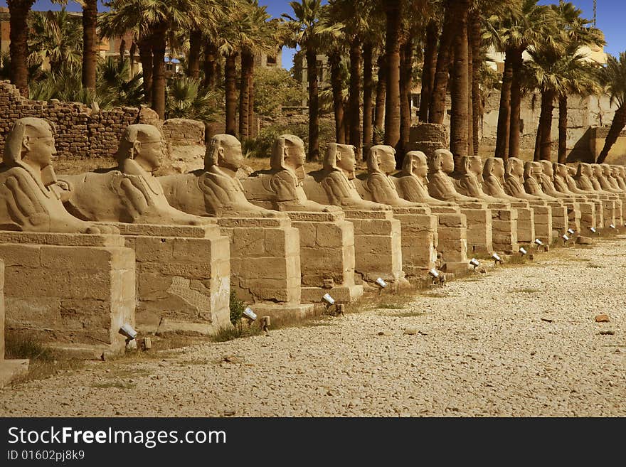 Statue of Ramses at Luxor temple in Egypt