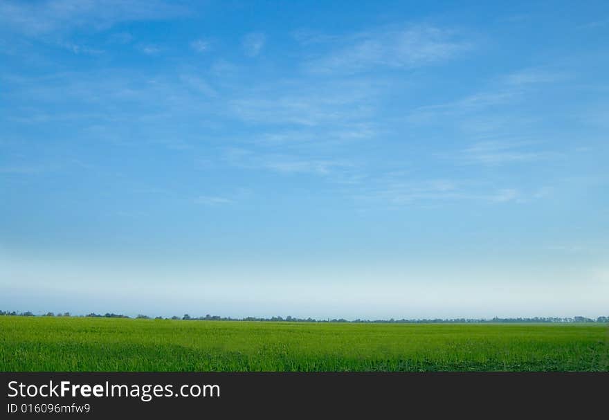 Photo of landscape. sky and meadow. Photo of landscape. sky and meadow