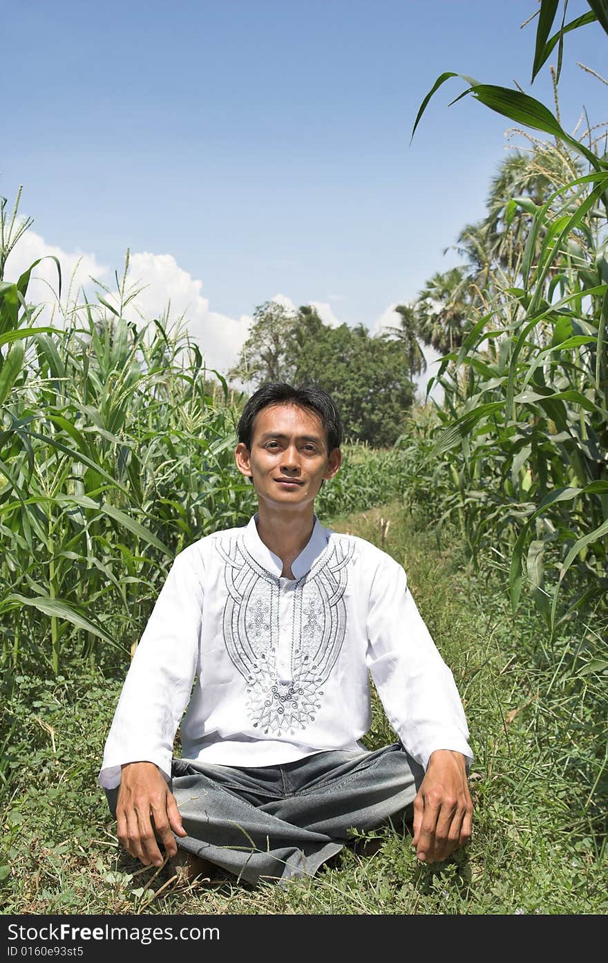 Man sitting in corn farm. Man sitting in corn farm