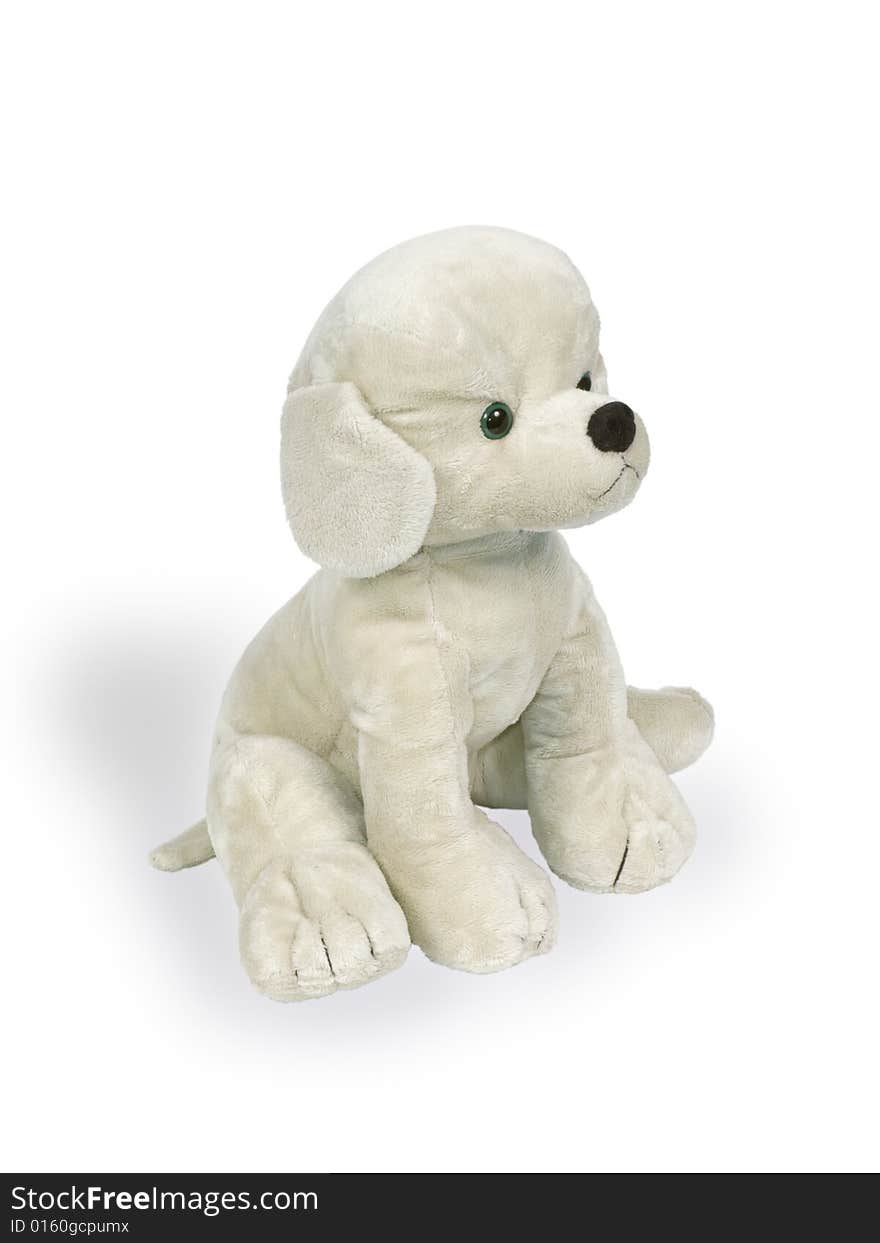 Toy A Dog