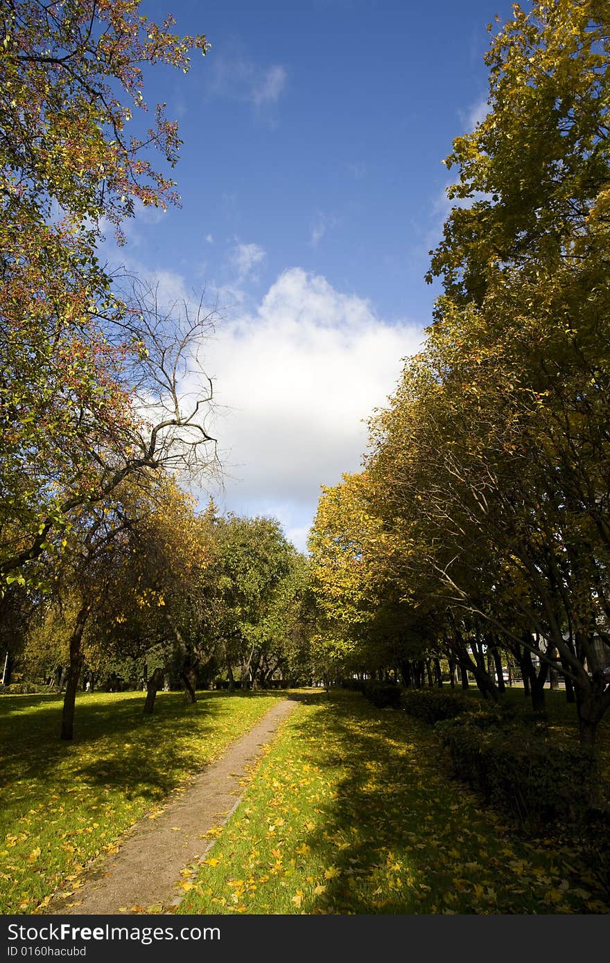 Autumn park with green and yellow leafs at sunny day