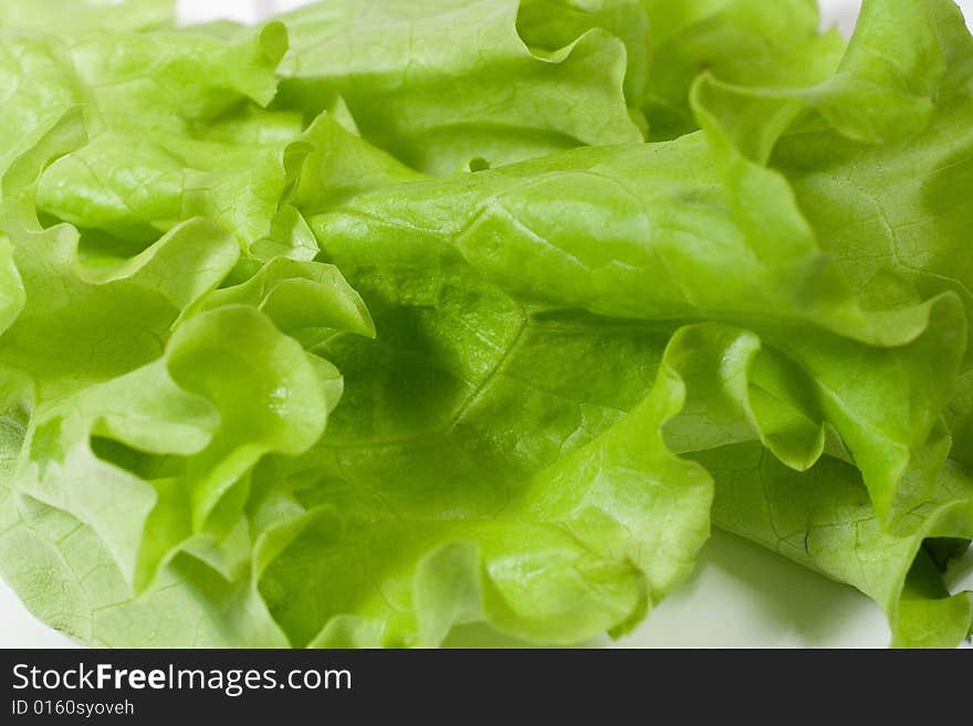 Lettuce leaves