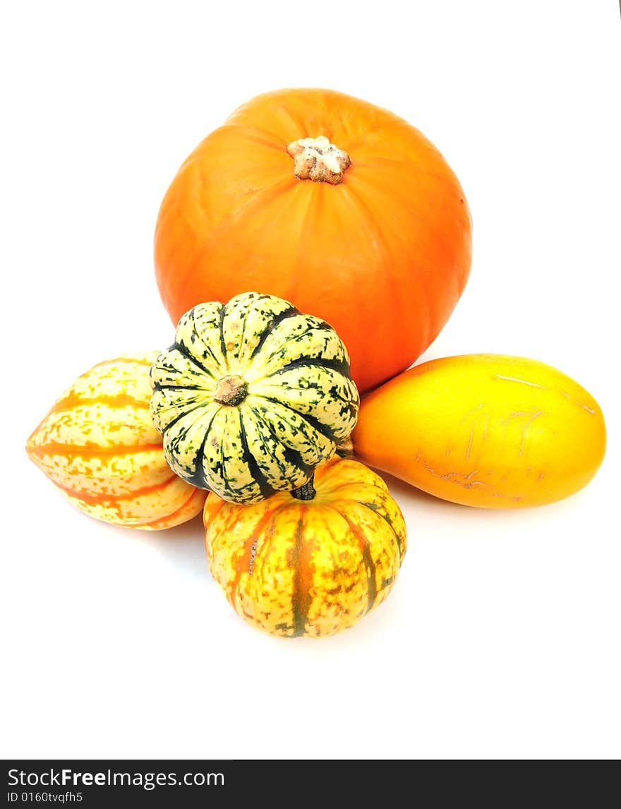 Squashes