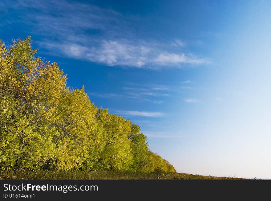 Landscape photo of autumn season