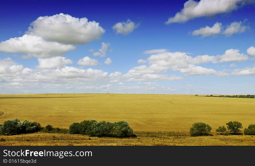 Autumn landscape