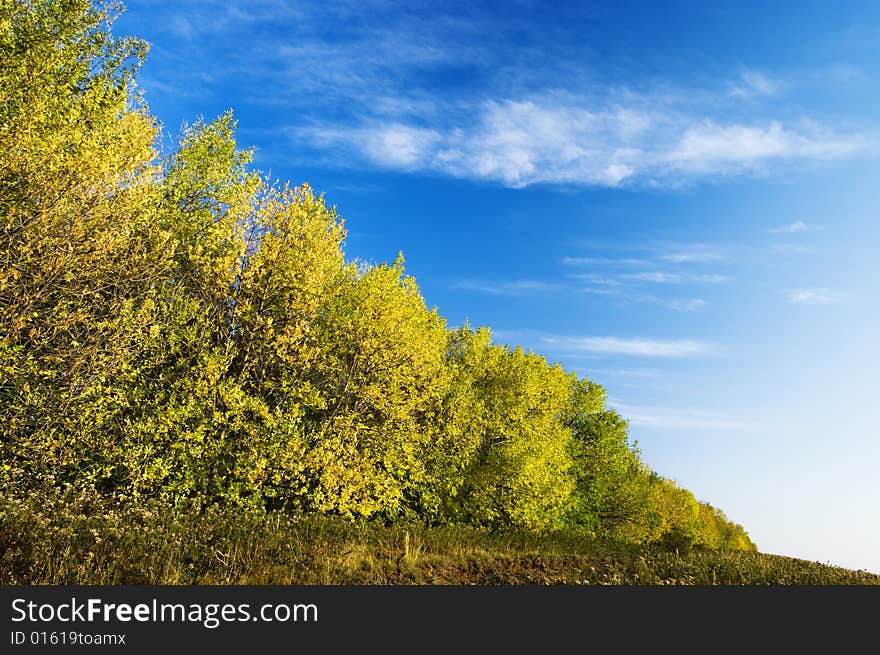 Landscape photo of autumn season