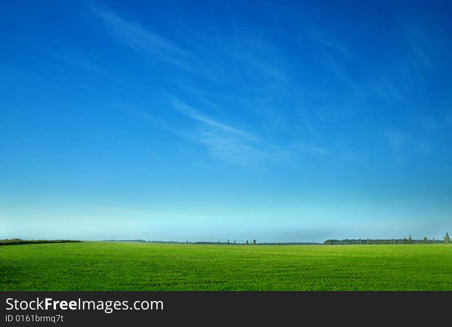 Landscape photo of meadow and sky