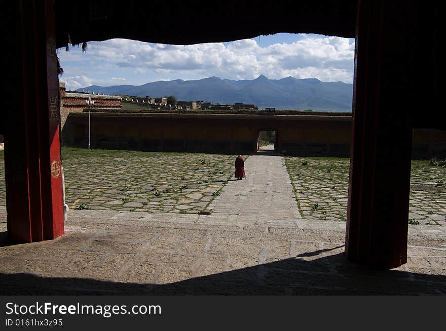 Talapoin in Tibet