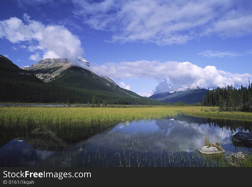 Flooded Meadow In Canadian Rockies