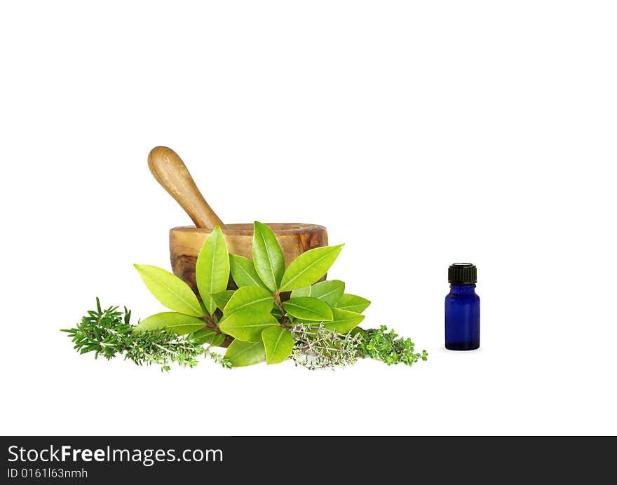 Fresh herb leaf sprigs of rosemary, golden thyme, bay leaves, silver thyme and common thyme (left to right) with an olive wood pestle and mortar and a blue glass aromatherapy essence bottle to one side. Over white background. Fresh herb leaf sprigs of rosemary, golden thyme, bay leaves, silver thyme and common thyme (left to right) with an olive wood pestle and mortar and a blue glass aromatherapy essence bottle to one side. Over white background.