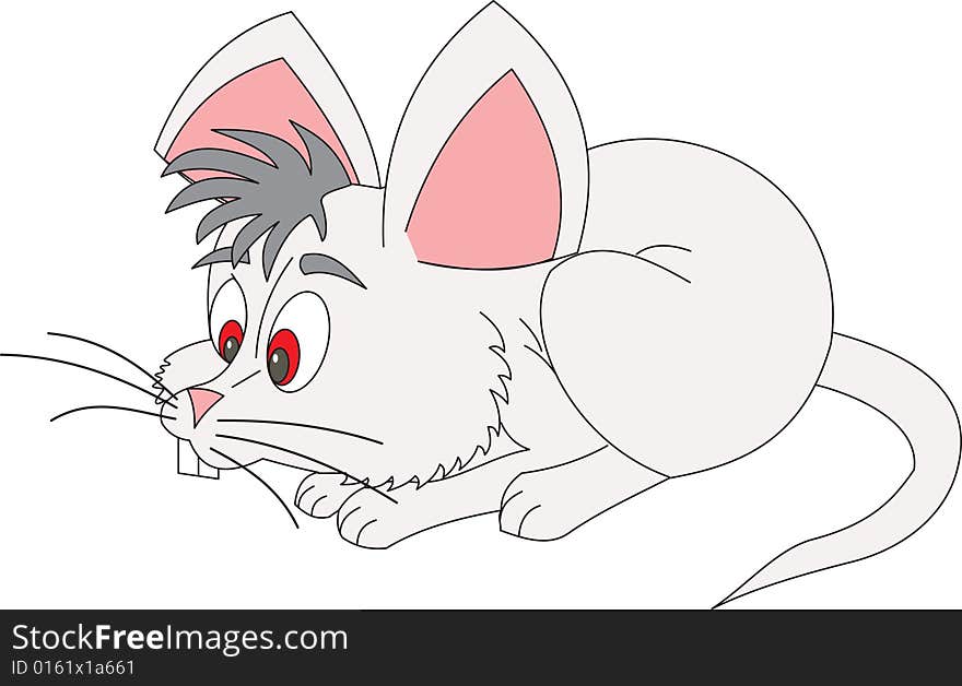 Illustration, the white mouse on a white background