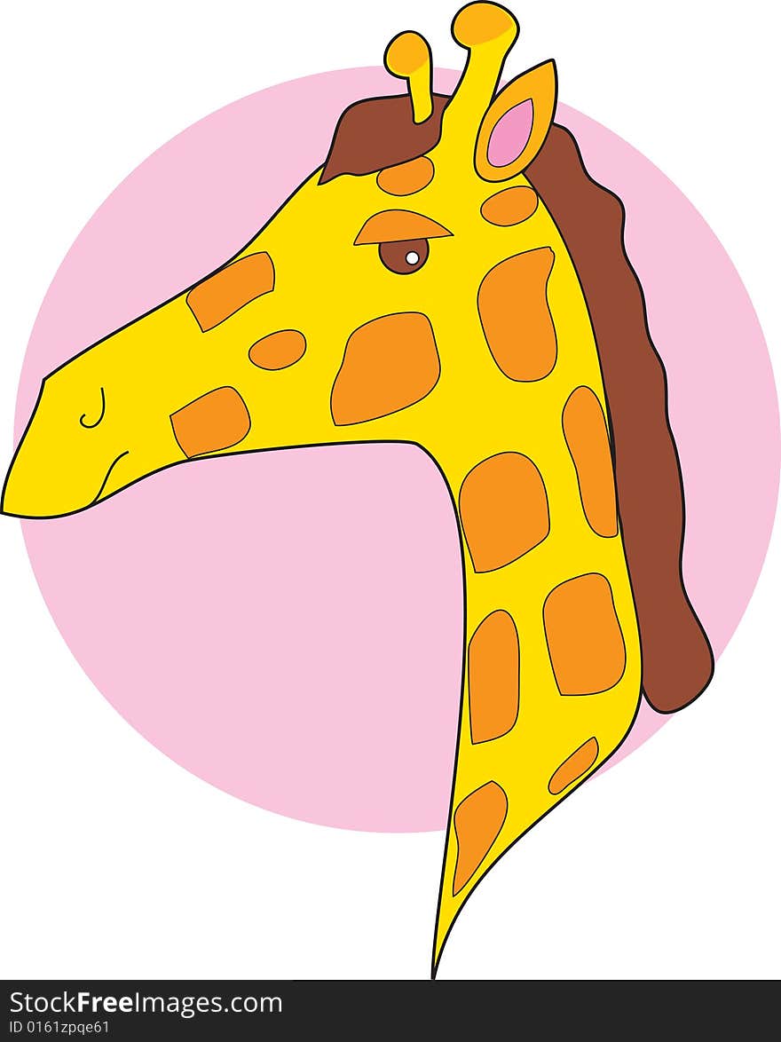 The head of a giraffe on a pink circle background