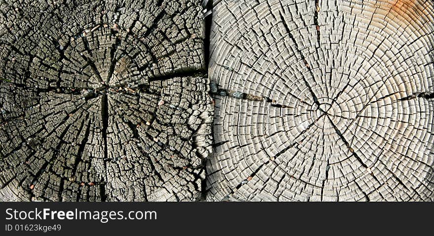 Weathered old wood showing texture. Weathered old wood showing texture