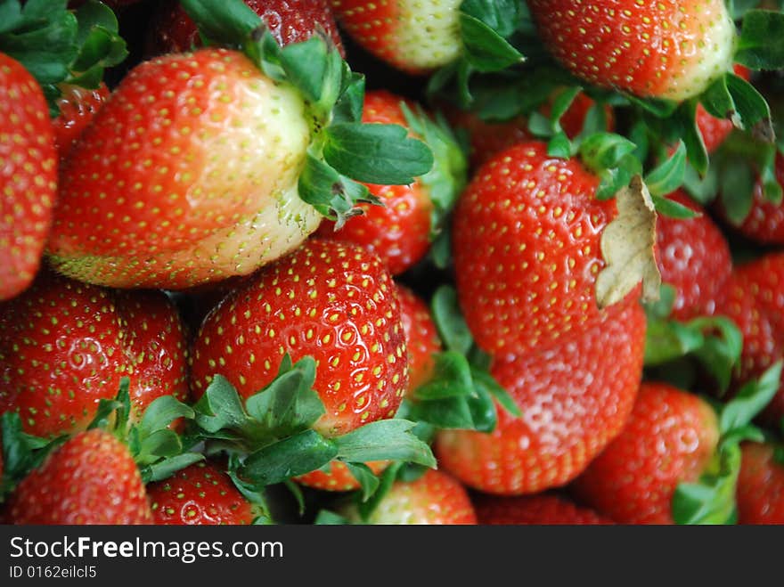 Fresh ripe strawberries engage the senses and beg to be eaten.