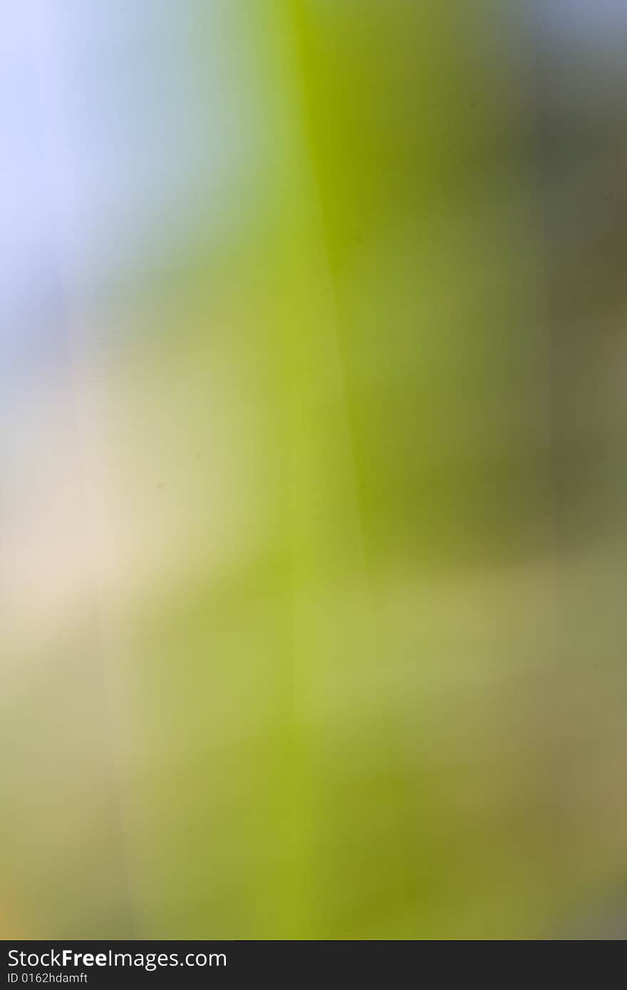 Macro of cattail leaves,this is as shot no PS. Macro of cattail leaves,this is as shot no PS