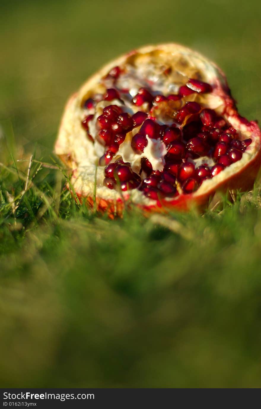 A pomegranate laying in the grass. A pomegranate laying in the grass