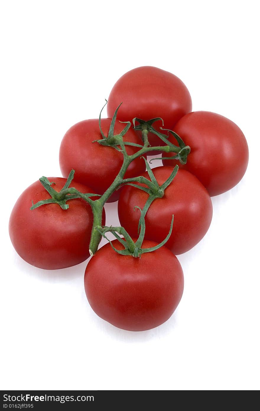 A bunch of red tomatoes on white background