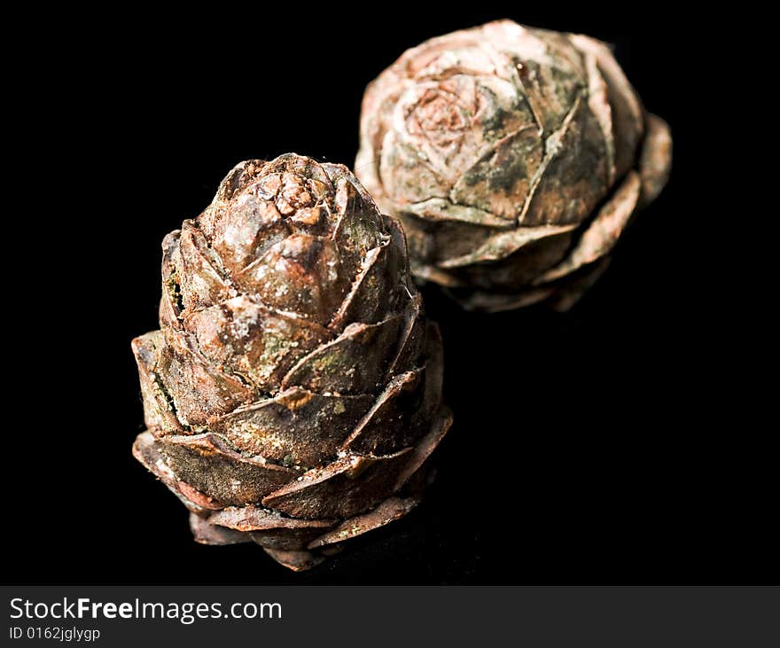 Pine cones isolated on black background.