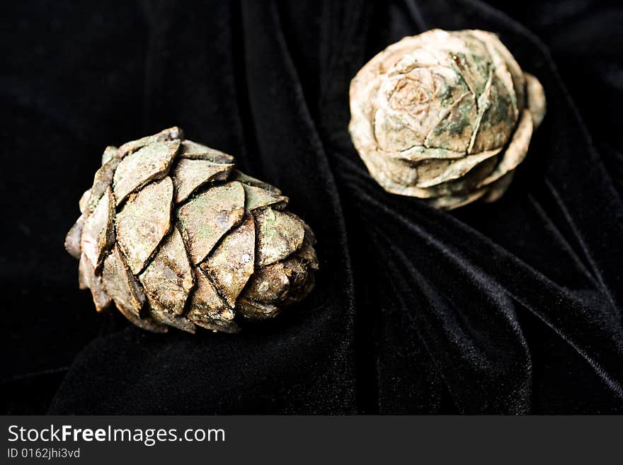 Pine cones on black velvet background.