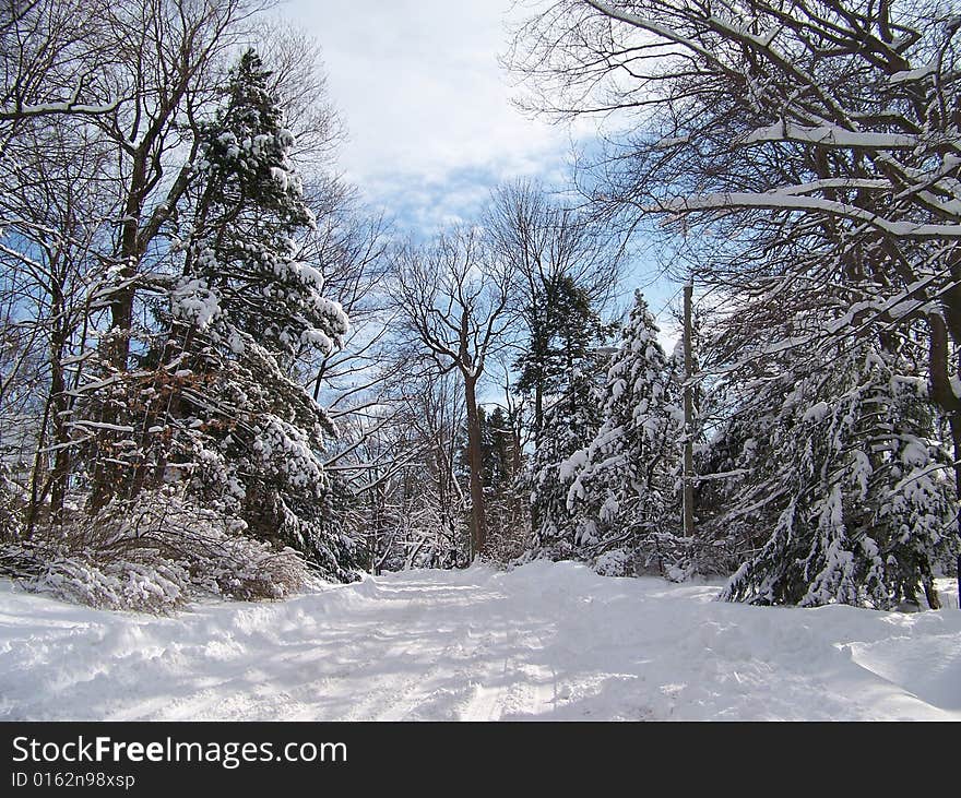 Winter Road