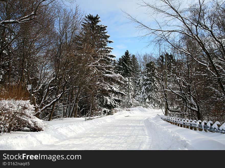 Winter Road