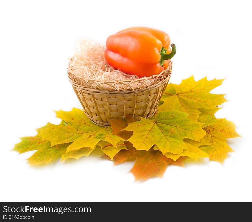 Basket on white background