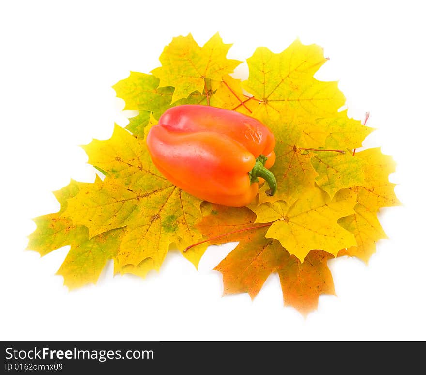 Autumn leaves of maple with red sweet pepper on white background. Autumn leaves of maple with red sweet pepper on white background