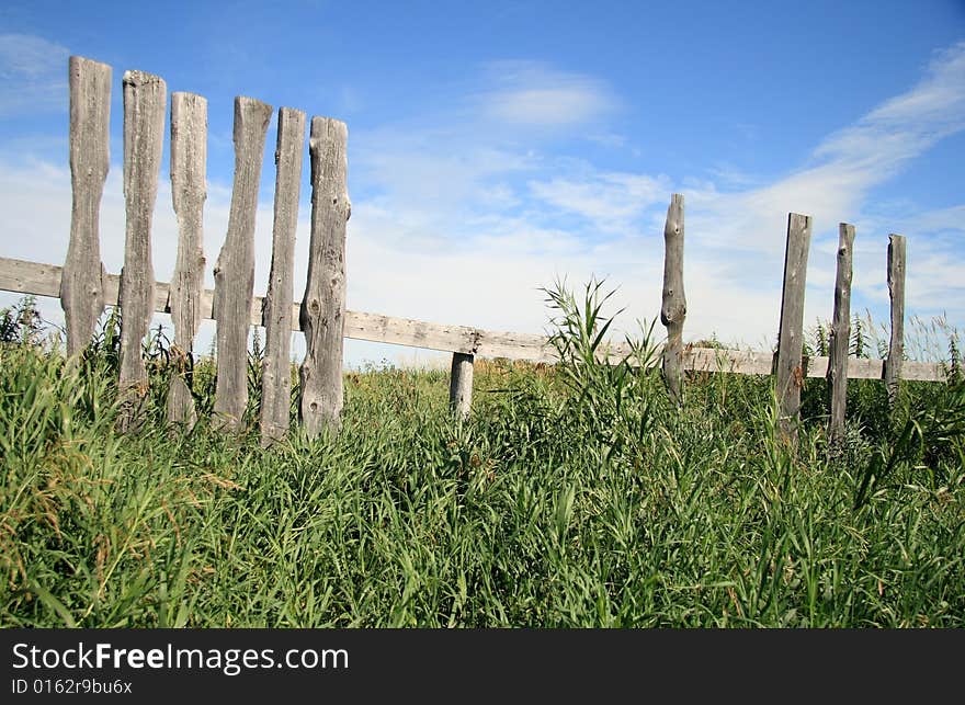 An old fence in an overgrown abandoned farmyard