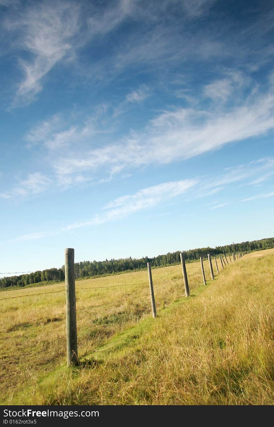 A fence stretching into the distance on the wide open prairie