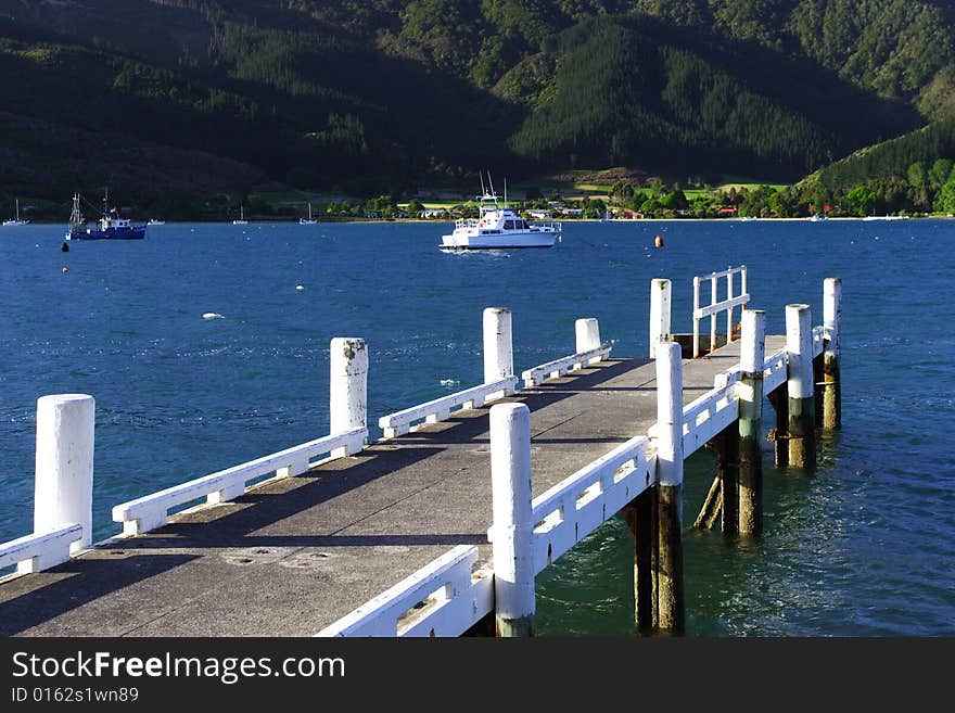 Picture was taken on Queen Charlotte Drive, New Zealand, in Nov 2007, . Picture was taken on Queen Charlotte Drive, New Zealand, in Nov 2007,