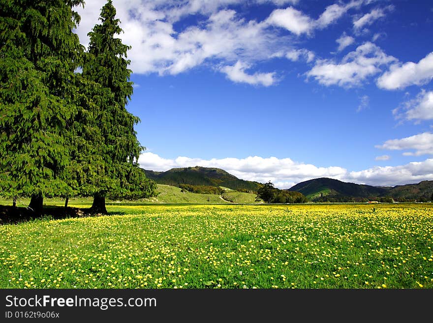 Pure Sky, Pure Meadow (1)