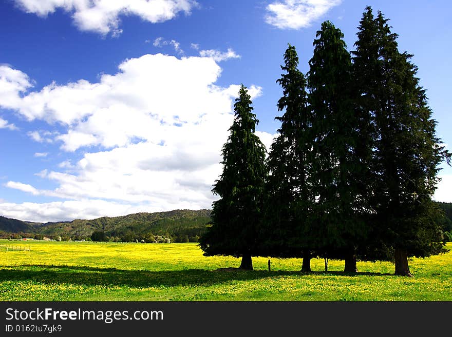 Pure sky, pure meadow (2)