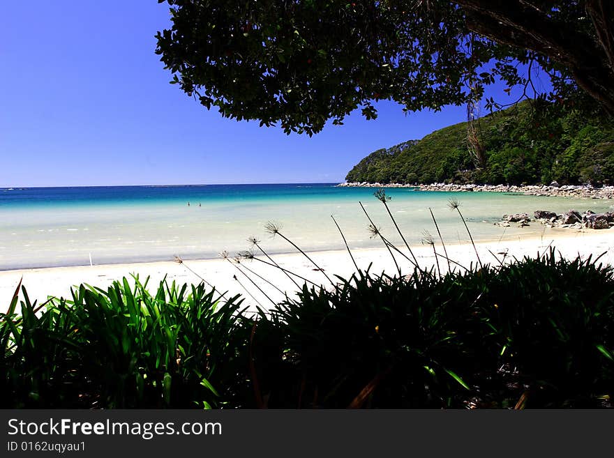 Golden beach Abel Tasman