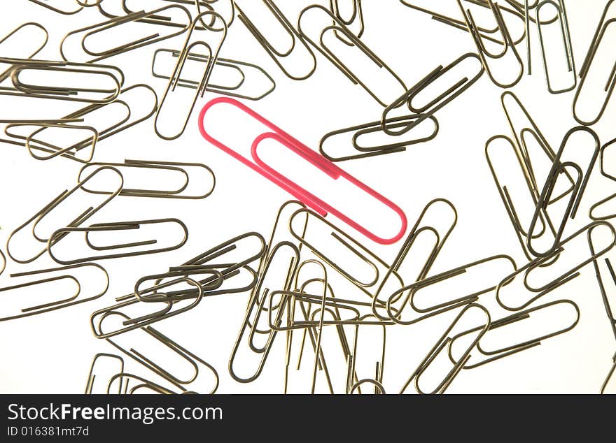 Pink paperclip in a group of small paperclips