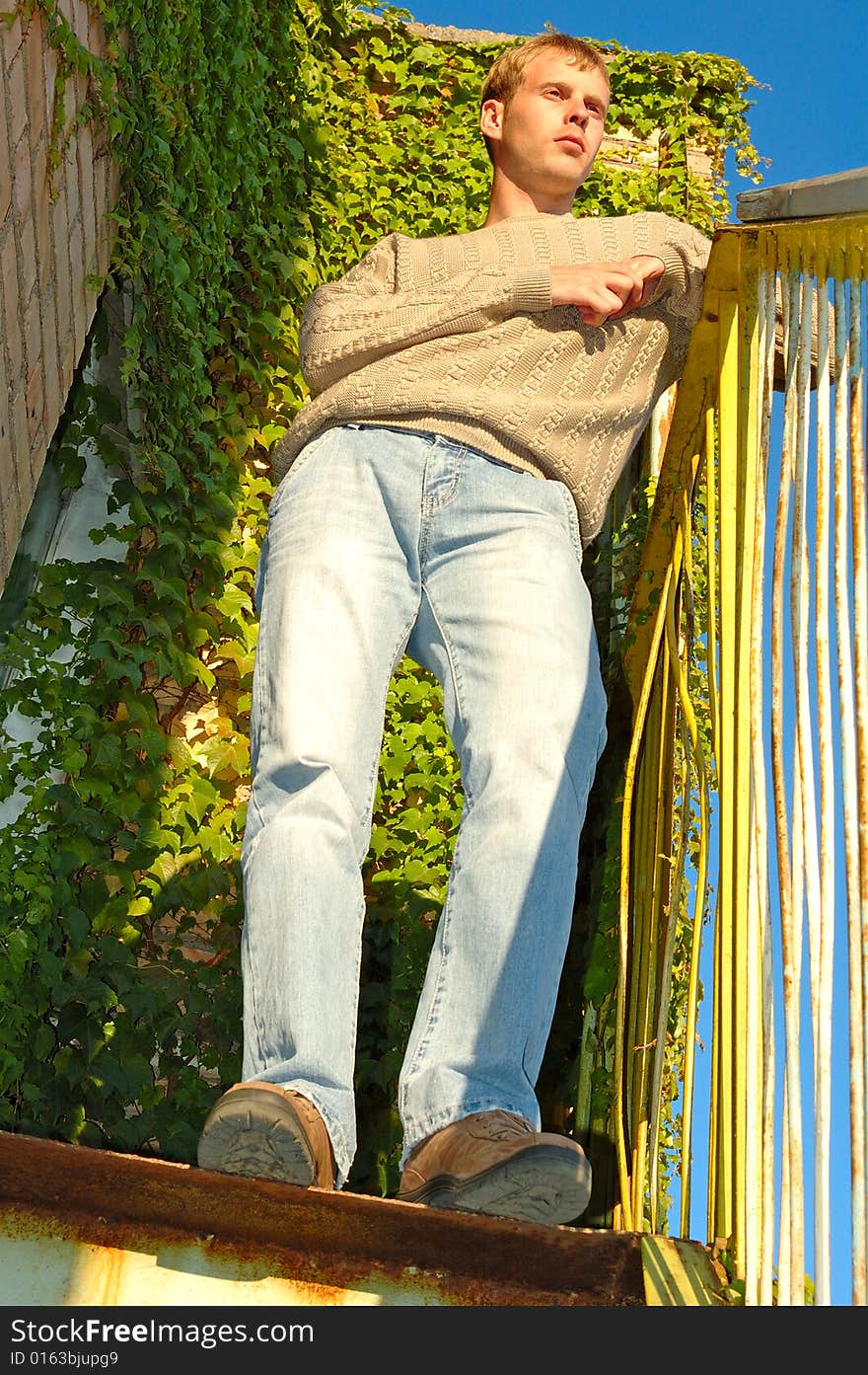 Young stylish blonde man stay on stairs near overgrown with vine wall. Young stylish blonde man stay on stairs near overgrown with vine wall.