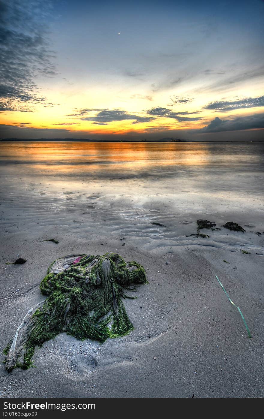 Seaweed on the seabed during sunrise. Seaweed on the seabed during sunrise