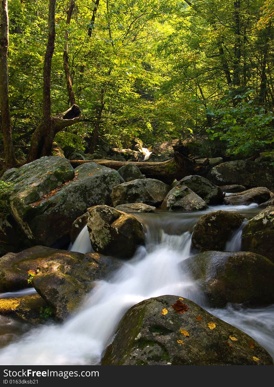 A small mountain stream at the beginning of fall