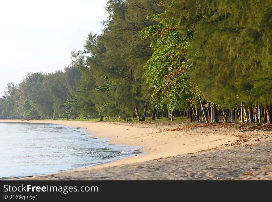 Low tide at the beach in the early morning