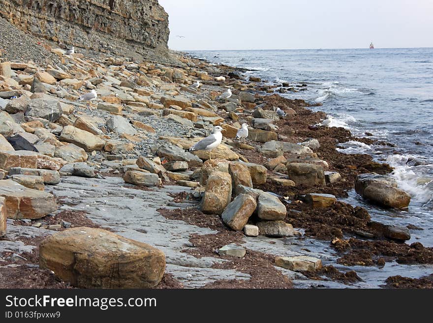 Wild beach Black Sea in the month of September